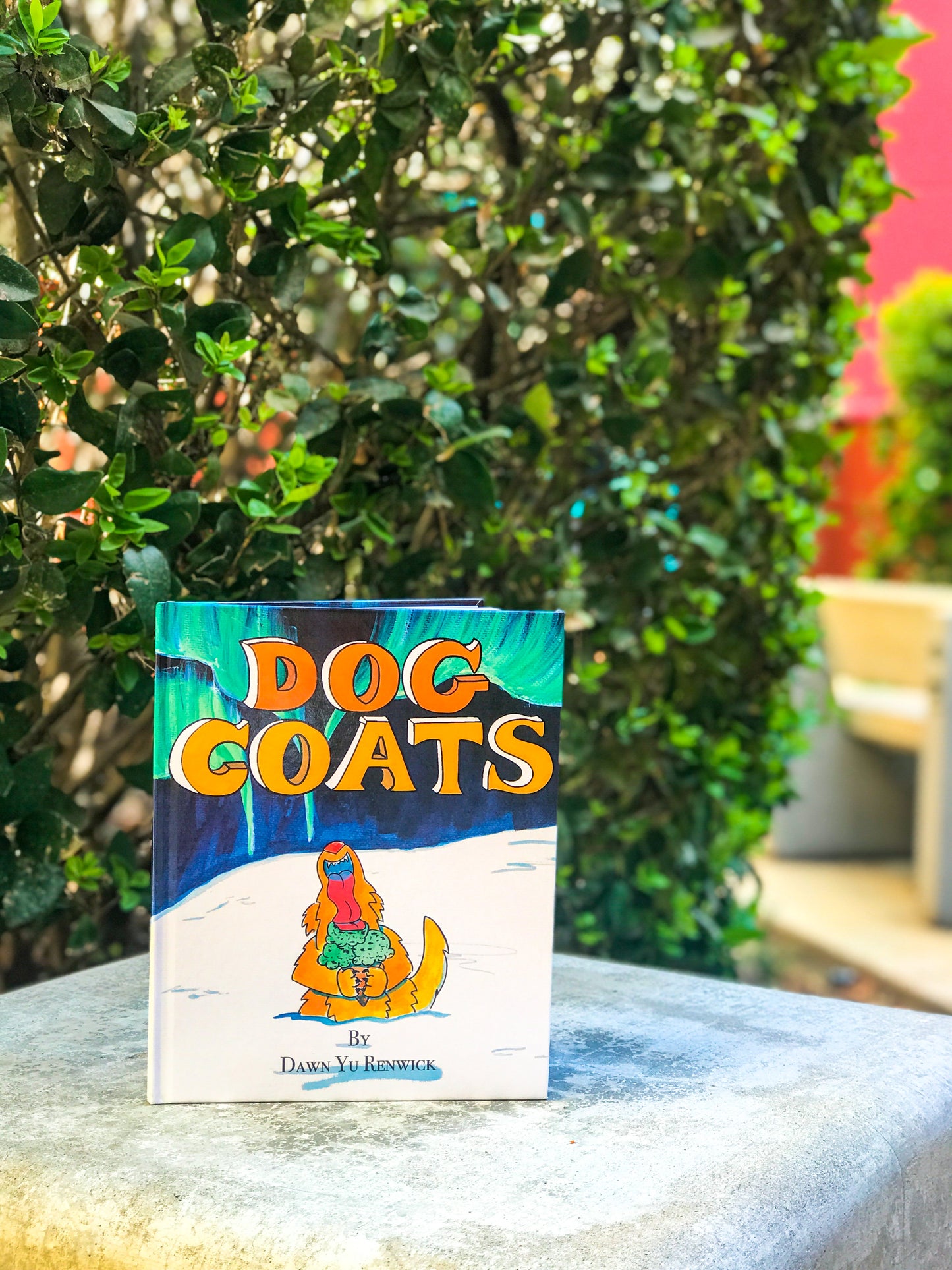 A Children's Picture Book 'Dog Coats'