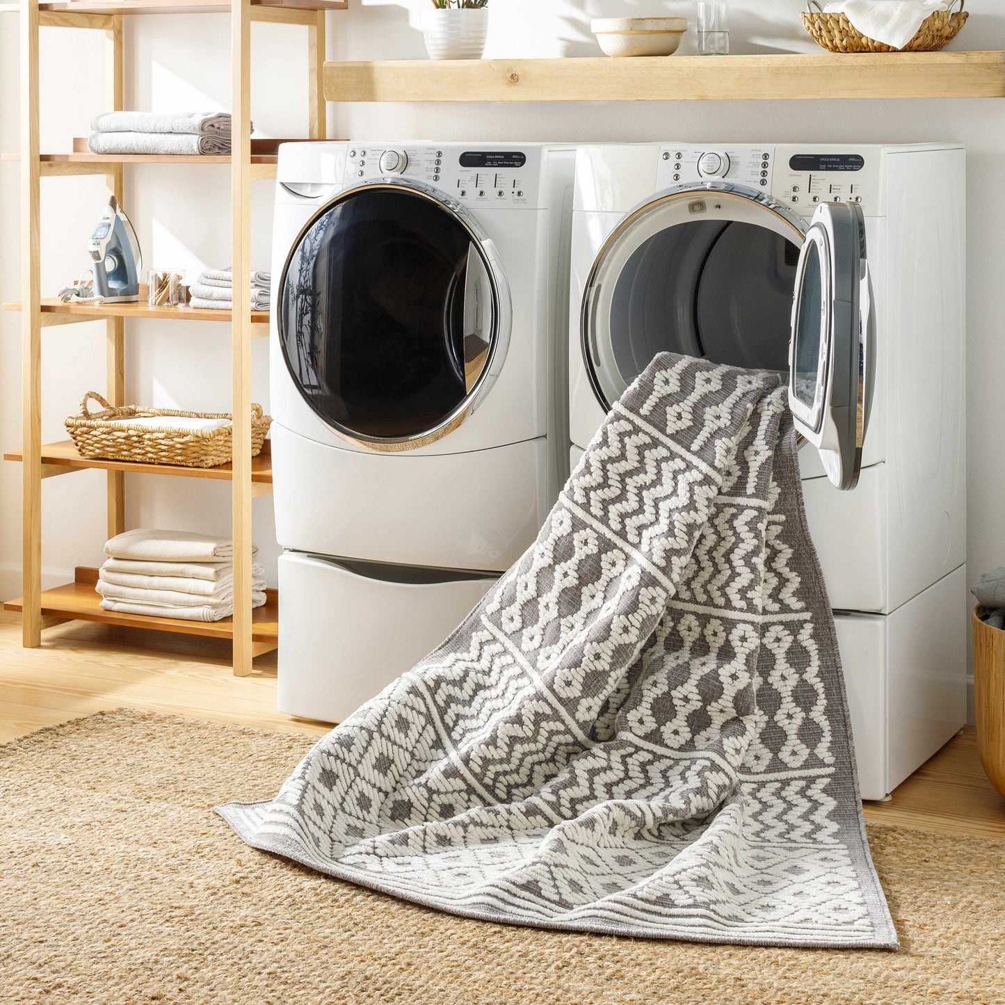 Drago Gray Area Rug